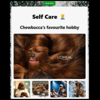 head shot of Chewbacca from Star Wars